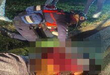 Tragedia sobre ruedas en Cojedes: motociclista fallece tras colisionar contra un poste en San Carlos
