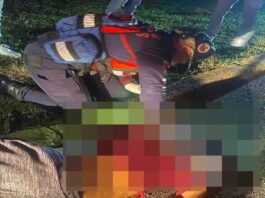 Tragedia sobre ruedas en Cojedes: motociclista fallece tras colisionar contra un poste en San Carlos