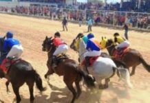 Este domingo se celebrará los 64 años del hipismo en Paraguaná
