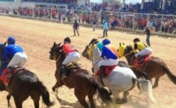 Este domingo se celebrará los 64 años del hipismo en Paraguaná