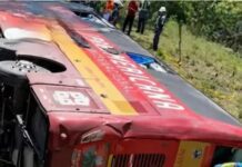 Cinco venezolanos muertos tras vuelco de autobús en Colombia