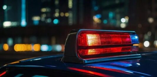 Madre venezolana detenida por la muerte de su hija en Nueva York
