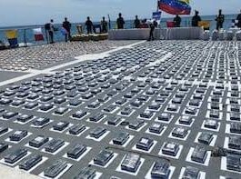 Incautan 2.900 kilos de drogas en el mar Caribe