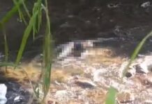 Localizan cadáver flotando en el río Cabriales en Valencia