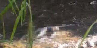 Localizan cadáver flotando en el río Cabriales en Valencia