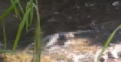 Localizan cadáver flotando en el río Cabriales en Valencia