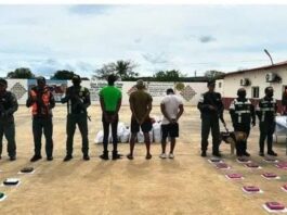 Incautan más de 1,4 toneladas de droga en Falcón tras operación conjunta con Francia