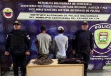 Policarirubana frustró hurto de cableado en Gimnasio de Puerta Maraven