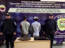 Policarirubana frustró hurto de cableado en Gimnasio de Puerta Maraven