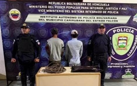 Policarirubana frustró hurto de cableado en Gimnasio de Puerta Maraven