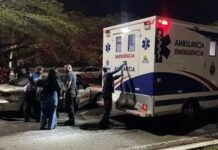 Lesionado motorizado en colisión con vehículo que se dio a la fuga en Punto Fijo